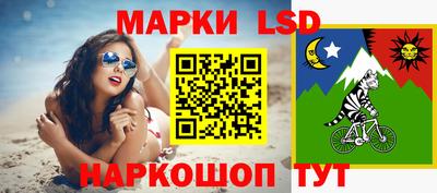 крисы Дубна