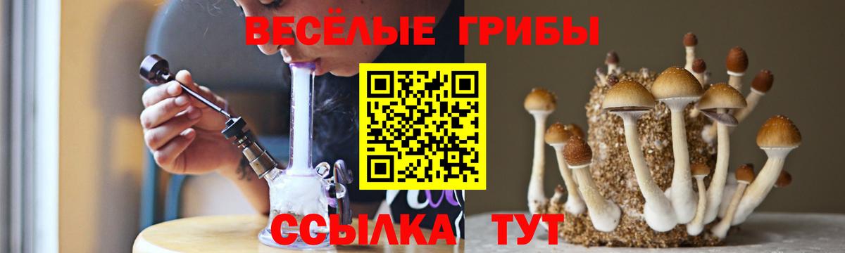 Псилоцибиновые грибы мицелий  цена наркотик  Кимры  Вход с VPN 